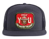 SMOKEY BEAR 7-Panel Flat Snapback, Richardson 168 Grey
