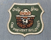 Emblem with Smokey the Bear on a green background