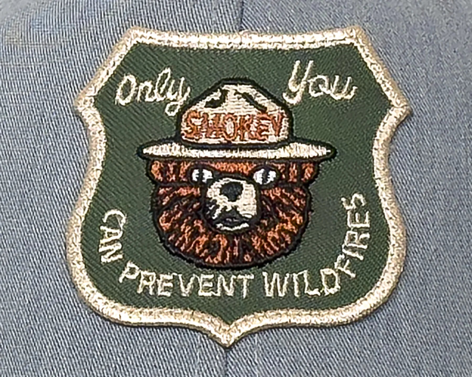 Emblem with Smokey the Bear on a green background