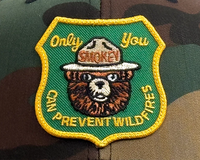 SMOKEY BEAR 6-Panel Curved Camo Hat Green