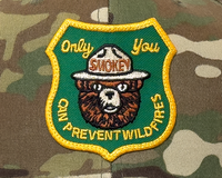 SMOKEY BEAR 6-Panel Flat Camo Hat Beige