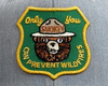 SMOKEY BEAR 6-Panel Curved Snapback, Richardson 112 Grey