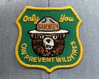 SMOKEY BEAR 6-Panel Curved Snapback, Richardson 112 Grey