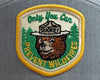 SMOKEY BEAR 7-Panel Flat Snapback, Richardson 168 Heather Gold