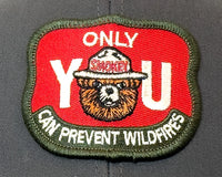 Patch with Smokey the Bear design and text on a gray background