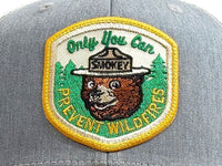 SMOKEY BEAR 6 - Panel Curved Snapback, Richardson 112 Grey - Tailgate Hats