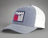 TEXAS BADGE 6-Panel Curved Snapback Grey