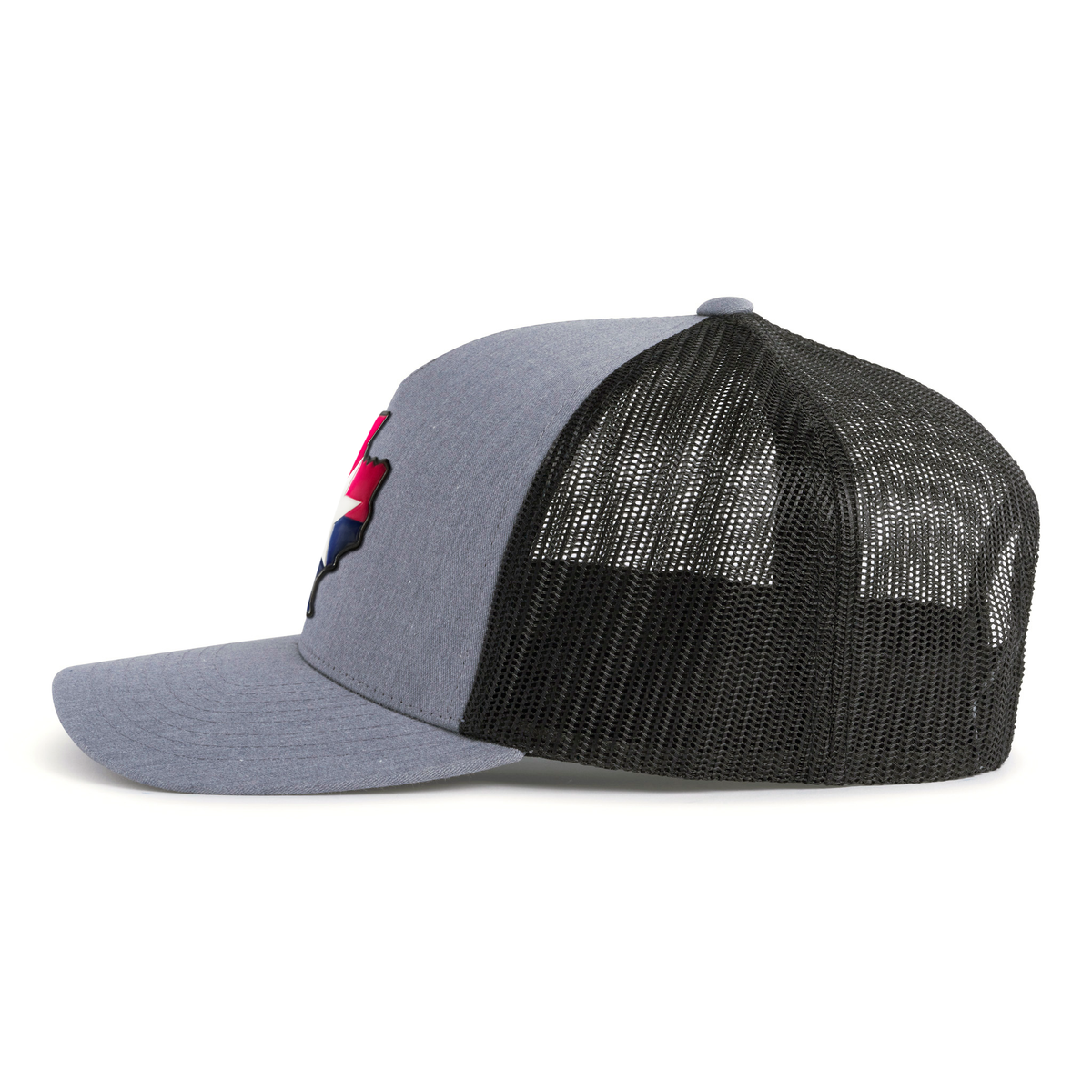 TEXAS STAR 5-Panel Curved Snapback Grey