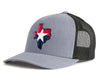TEXAS STAR 5-Panel Curved Snapback Grey