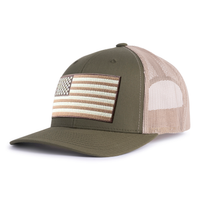 USA FLAG Embroidered 6-Panel Curved Snapback