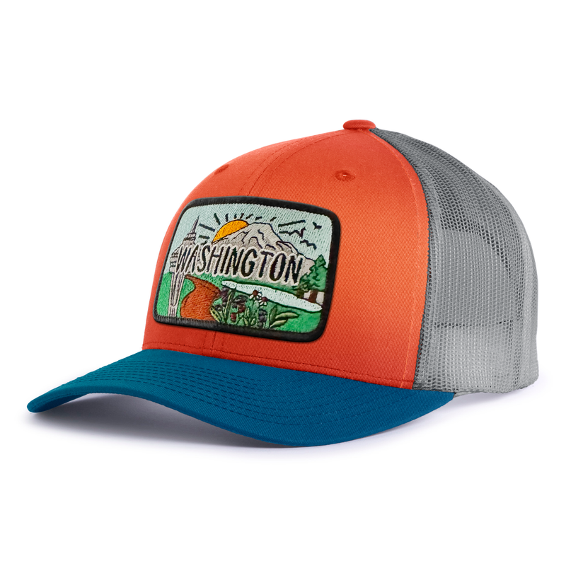 WASHINGTON SKY 6-Panel Curved Snapback