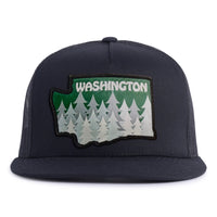 WASHINGTON TREE 5-Panel Flat Black - Tailgate Hats