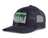 WASHINGTON TREE 6-Panel Curved Veil Camo
