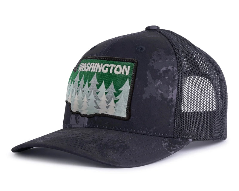WASHINGTON TREE 6-Panel Curved Veil Camo