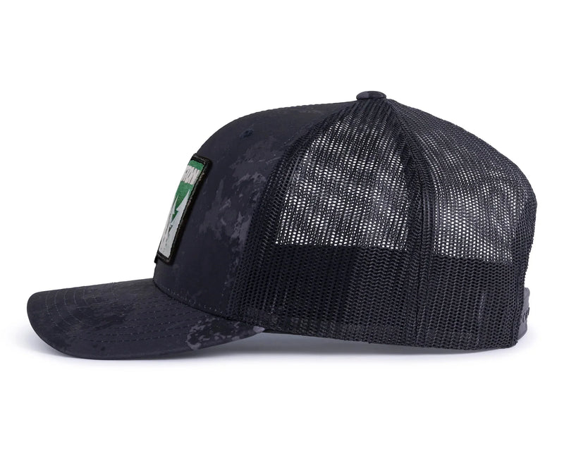 WASHINGTON TREE 6-Panel Curved Veil Camo