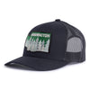 WASHINGTON TREE 6-Panel Curved Black - Tailgate Hats