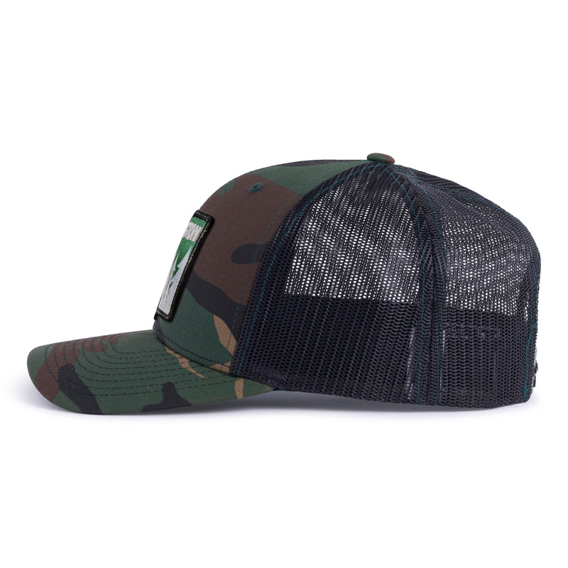 WASHINGTON TREE 6-Panel Curved Green Camo - Tailgate Hats