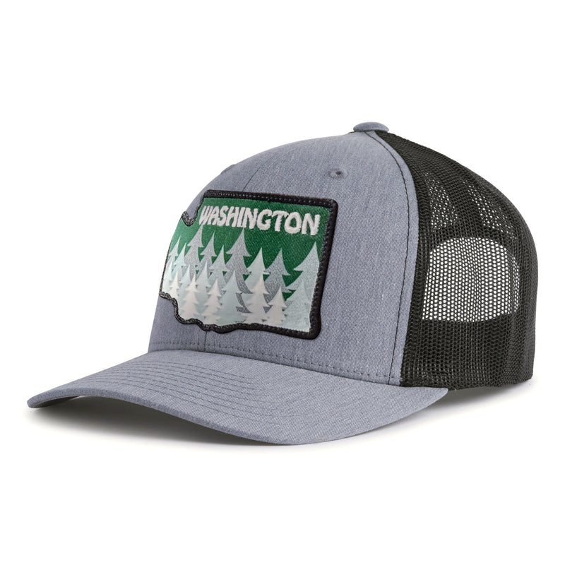 WASHINGTON TREE 6-Panel Curved Grey/Black - Tailgate Hats