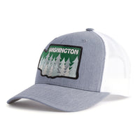 WASHINGTON TREE 6-Panel Curved Grey/White - Tailgate Hats