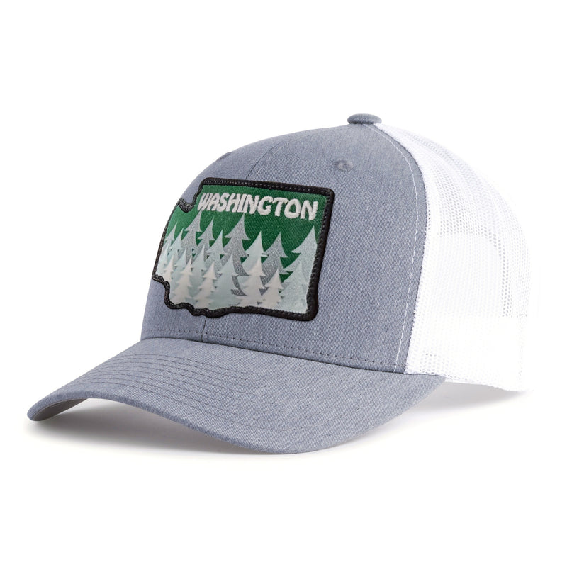 WASHINGTON TREE 6-Panel Curved Grey/White - Tailgate Hats