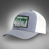 WASHINGTON TREE 6-Panel Curved Grey/White