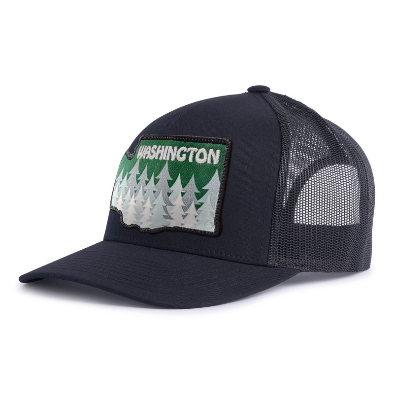 WASHINGTON TREE 5-Panel Curved Black - Tailgate Hats