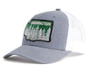 WASHINGTON TREE 6-Panel Curved Grey/White