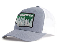 WASHINGTON TREE 6-Panel Curved Grey/White
