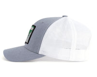 WASHINGTON TREE 6-Panel Curved Grey/White