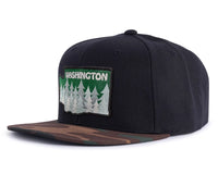 WASHINGTON TREE 6-Panel Flat Black/Camo