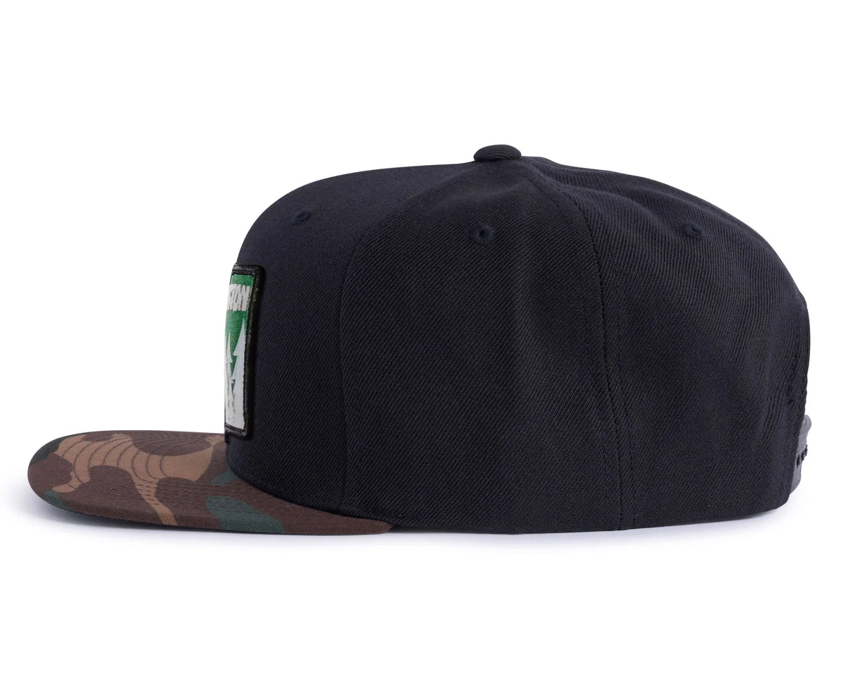 WASHINGTON TREE 6 - Panel Flat Black/Camo - Tailgate Hats