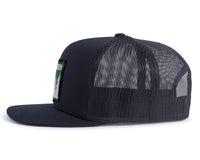 WASHINGTON TREE 5-Panel Flat Black