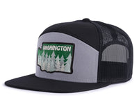 WASHINGTON TREE 7-Panel Flat Snapback, Richardson 168