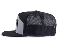 WASHINGTON TREE 7-Panel Flat Snapback, Richardson 168