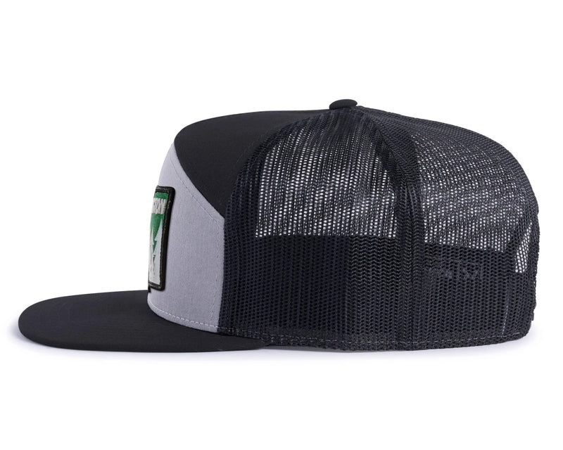 WASHINGTON TREE 7-Panel Flat Snapback, Richardson 168
