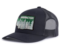 WASHINGTON TREE 6-Panel Curved Black