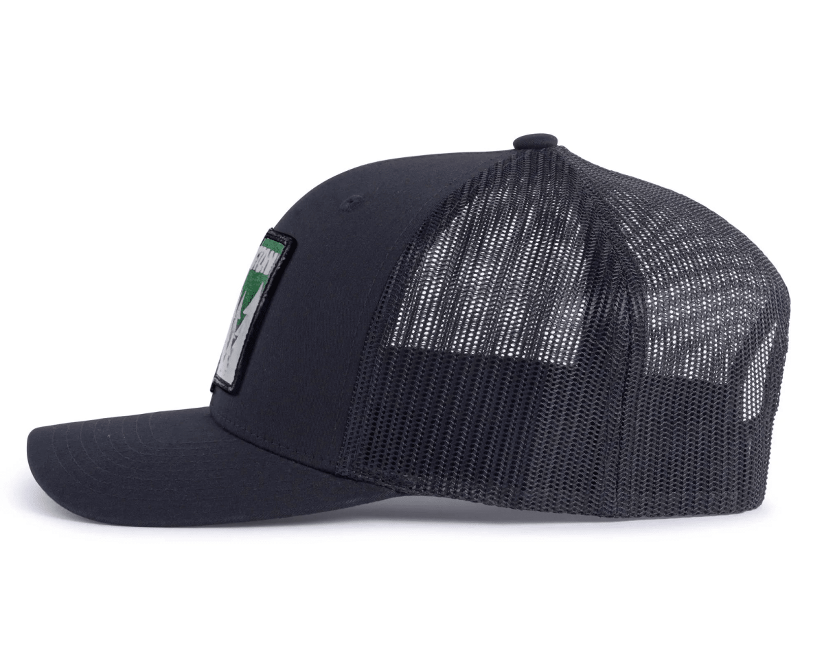 WASHINGTON TREE 6 - Panel Curved Black - Tailgate Hats