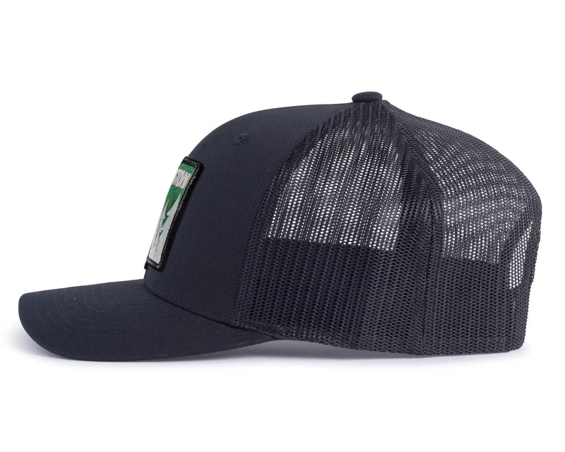 WASHINGTON TREE 6-Panel Curved Black