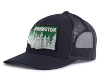 WASHINGTON TREE 5-Panel Curved Black