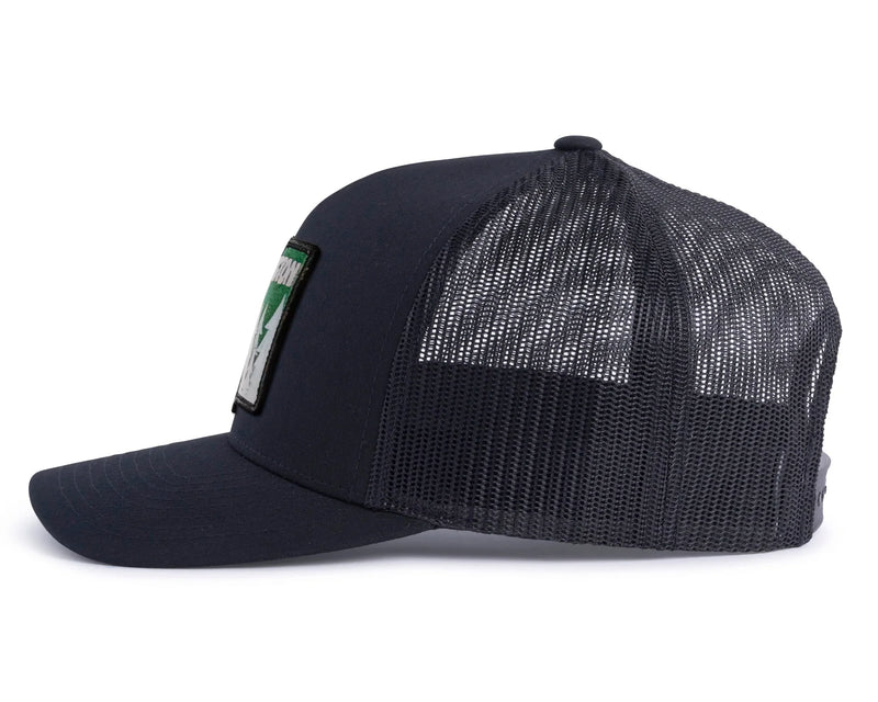 WASHINGTON TREE 5-Panel Curved Black