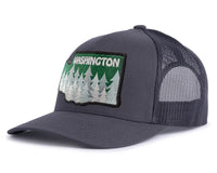 WASHINGTON TREE 5-Panel Curved Charcoal