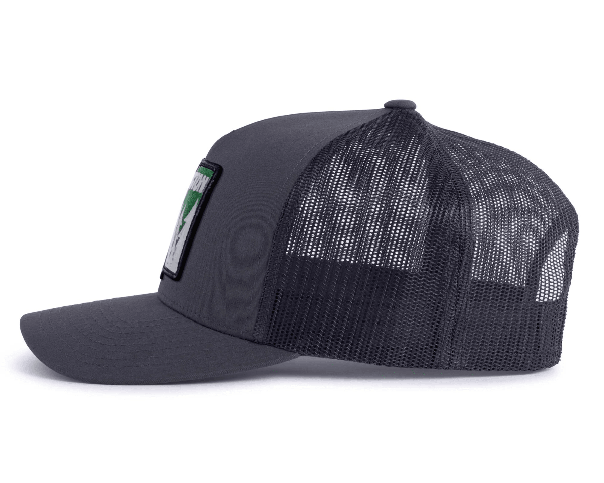 WASHINGTON TREE 5 - Panel Curved Charcoal - Tailgate Hats