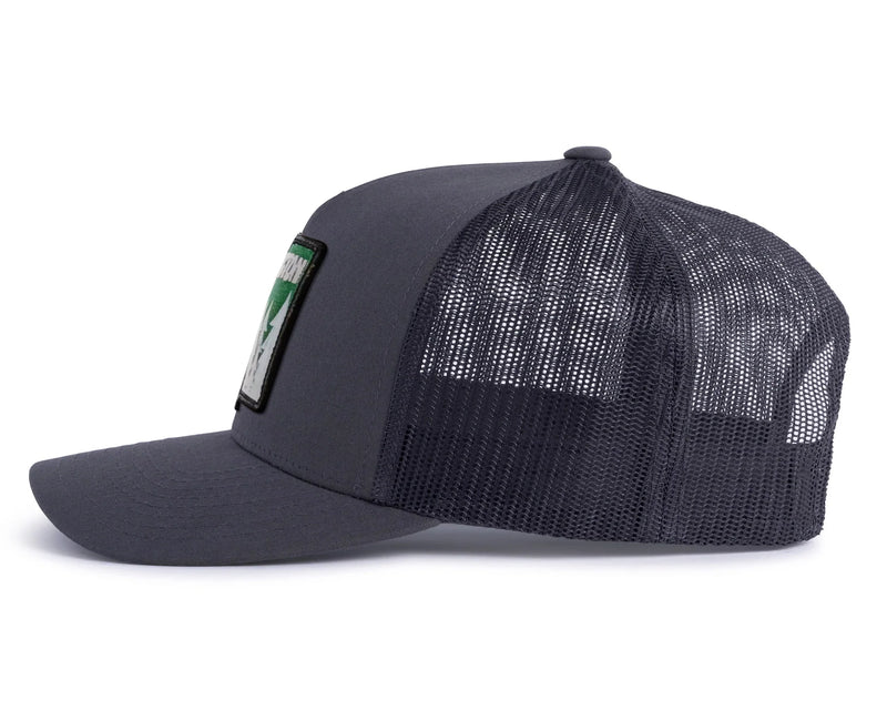 WASHINGTON TREE 5-Panel Curved Charcoal